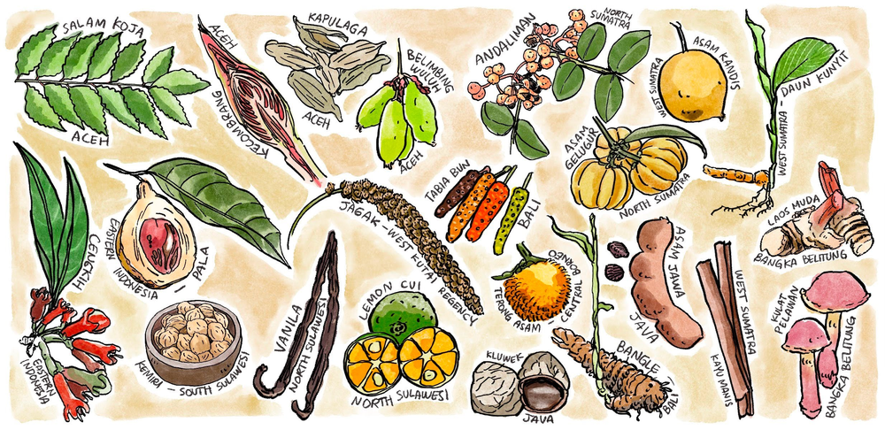 An illustration of Indonesian spices by Nugraha Pratama